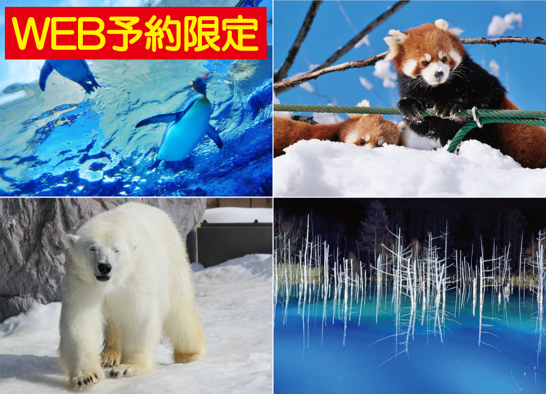 旭山動物園