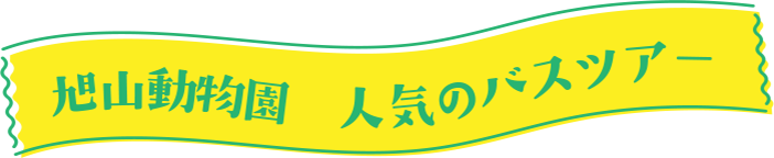 旭山動物園 人気のバスツアー