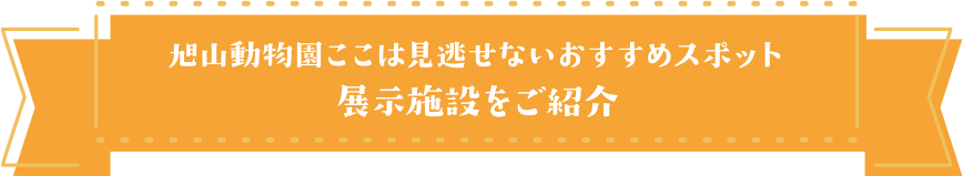 旭山動物園ここは見逃せないおすすめスポット 展示施設をご紹介