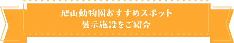 旭山動物園ここは見逃せないおすすめスポット 展示施設をご紹介