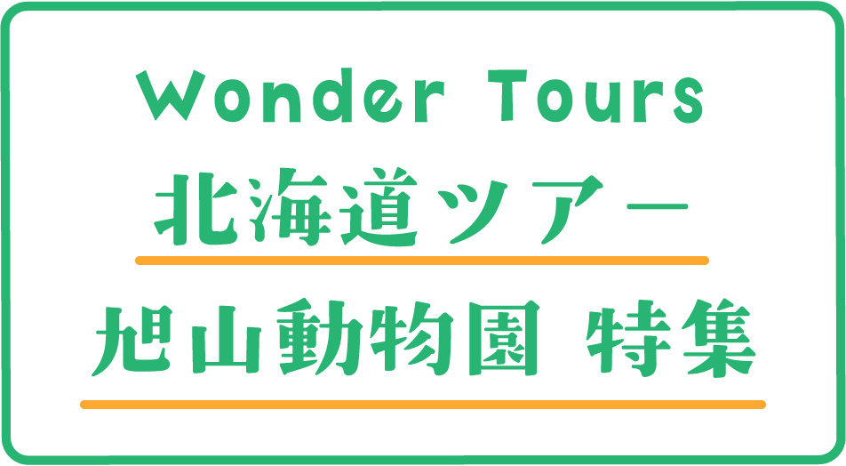 北海道ツアー 旭山動物園 特集