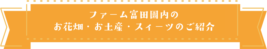 ファーム冨田園内ご紹介