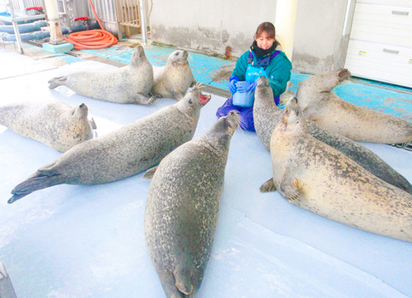 旭山動物園