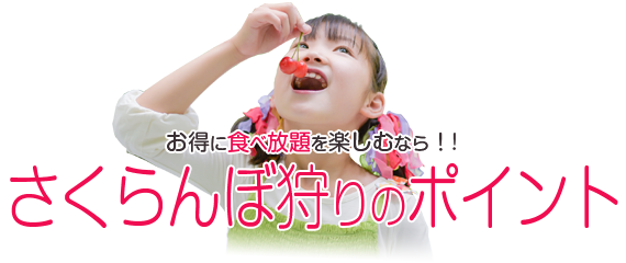 さくらんぼ狩りのポイント