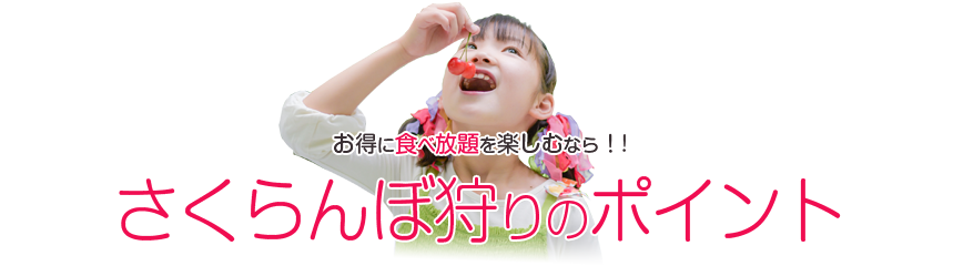 さくらんぼ狩りのポイント