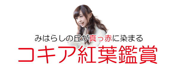 絶景コキア鑑賞