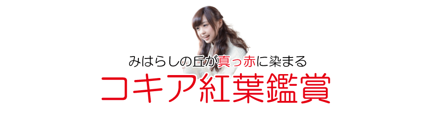 絶景コキア鑑賞