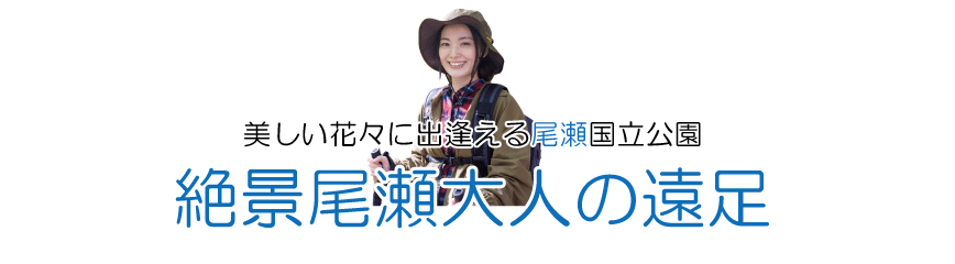 尾瀬自然満喫