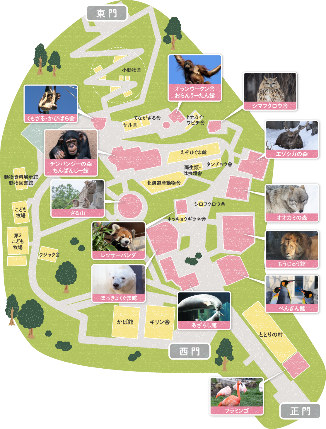 旭山動物園 園内マップ